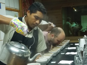 Unas50 muestras de microlotes preparados con esmero por productores de COMSA, fueron catados por los expertos compradores para identificar los mejores cafés.