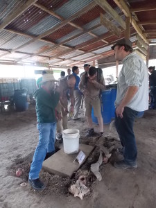 Interesados en las innovaciones agrícolas de COMSA.