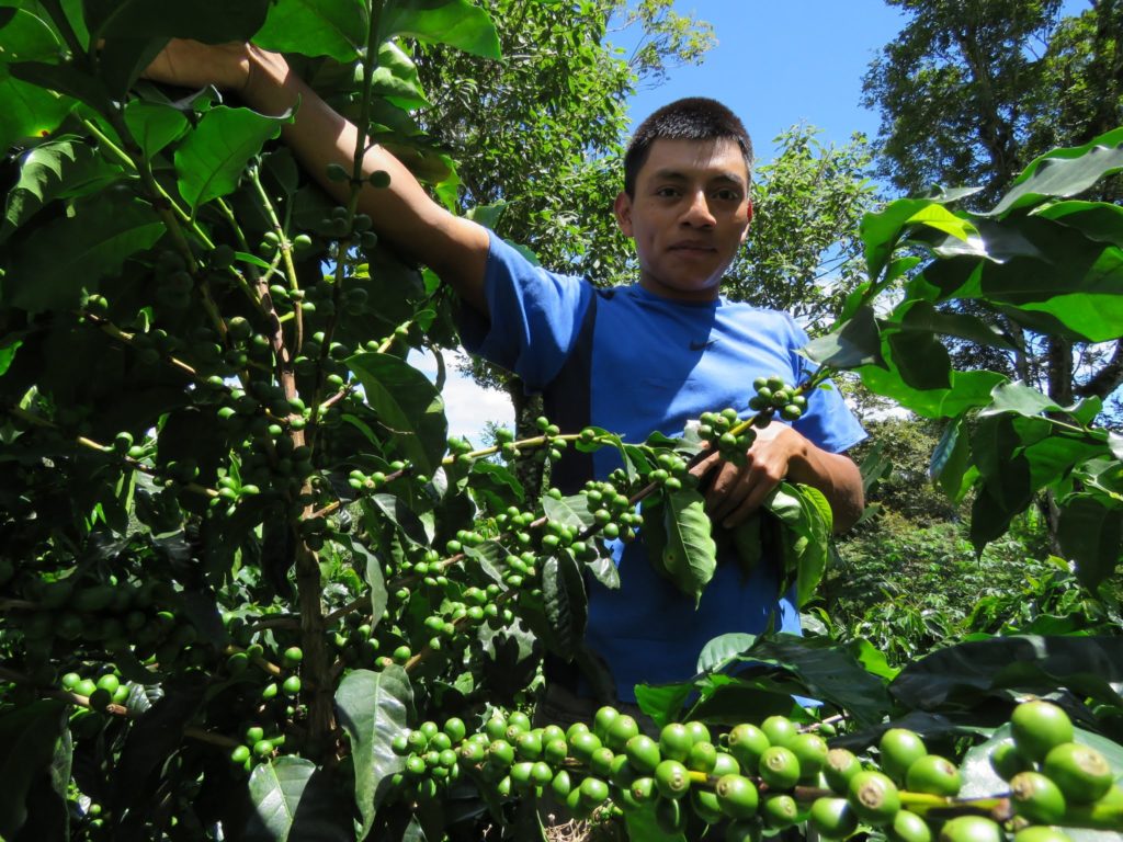 comsa-marcala-honduras
