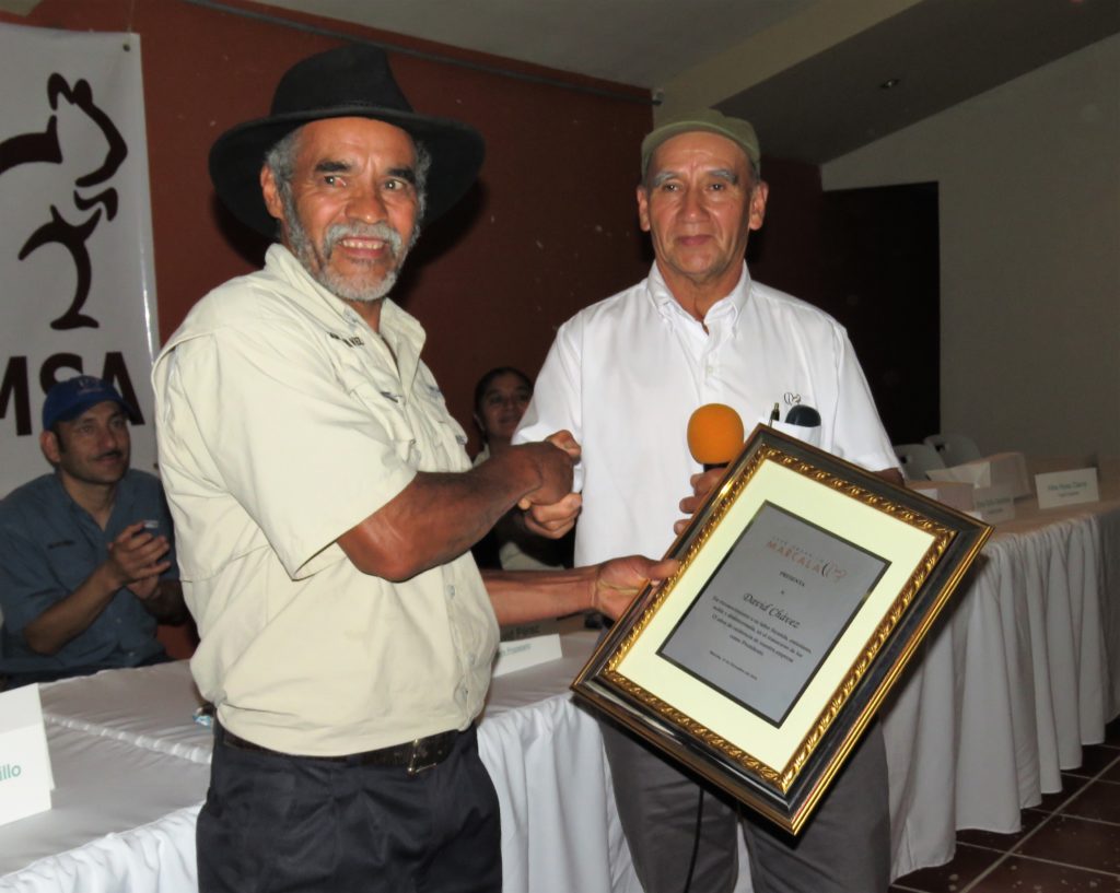 comsa-aniversario1