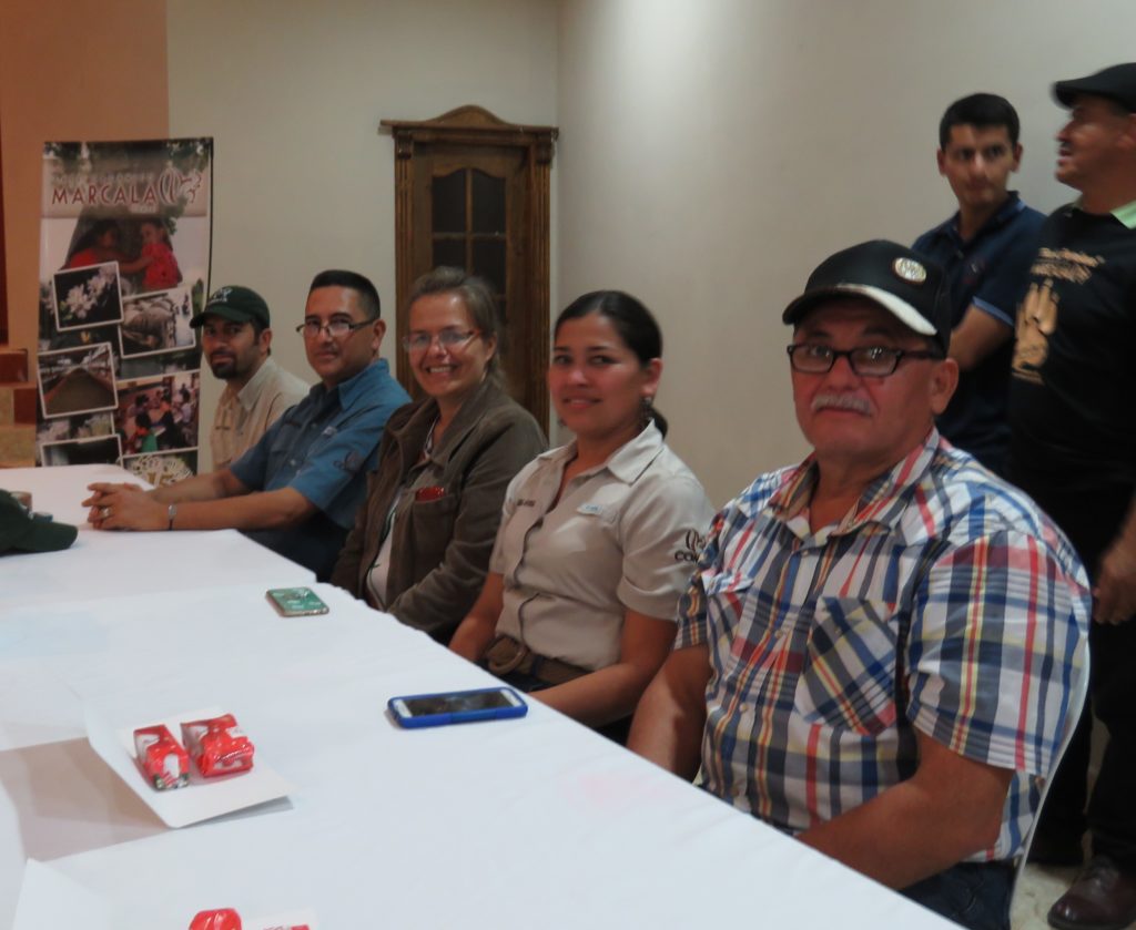 comsa-aniversario7