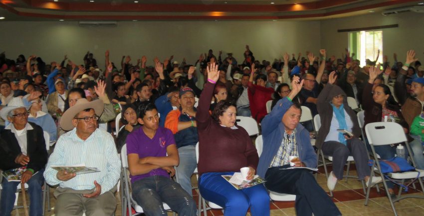 Asamblea extraordinaria y XV ordinaria COMSA 2017 (20)