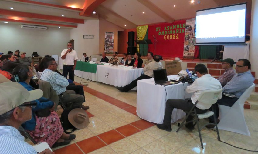 Asamblea extraordinaria y XV ordinaria COMSA 2017 (49)