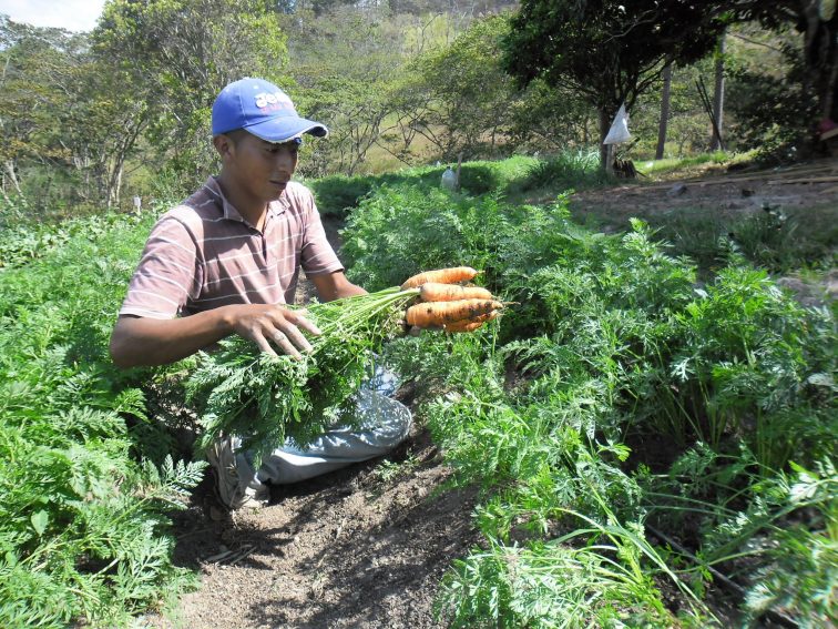 Finca Humana
