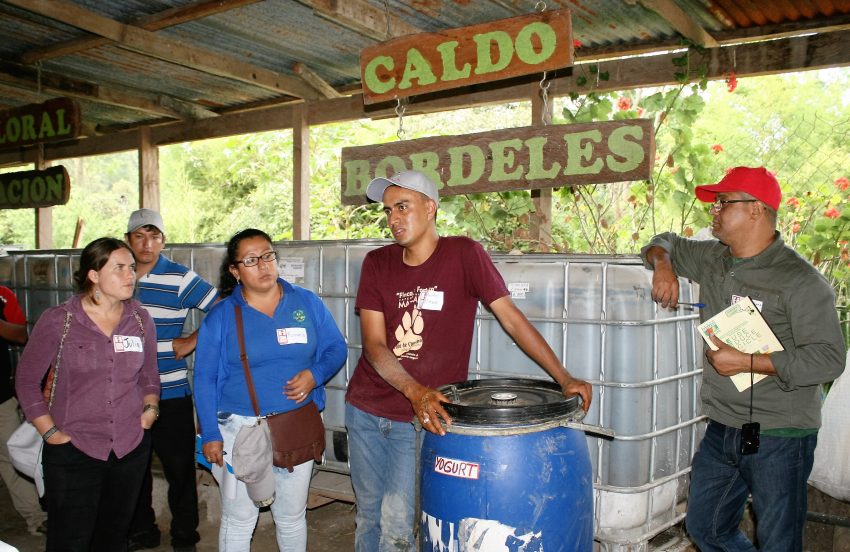 bioprepadoscomsa1