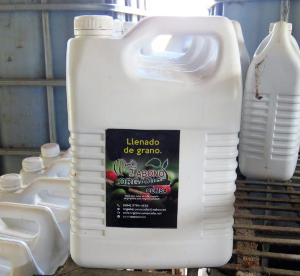 biopreparadoscomsa6
