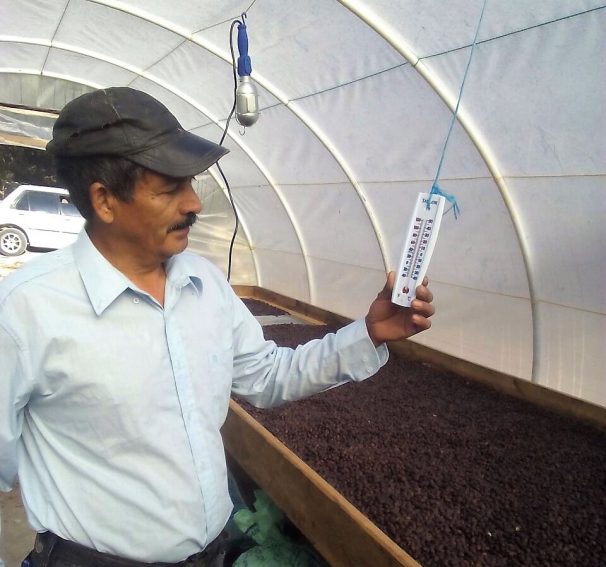 cafecomsa7