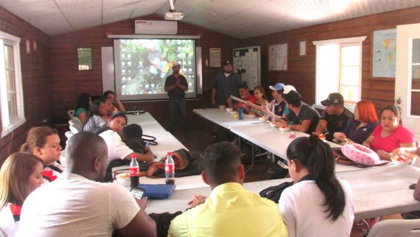 Ceutec comsa