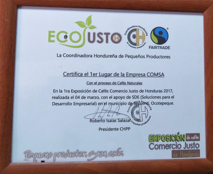 Diploma ecojusto1