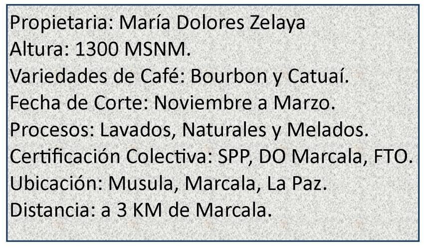 Mini Granja Dilma (2)