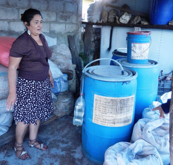 Mini Granja Dilma (3)