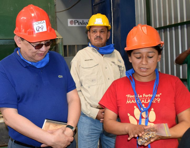 Banco mundial comsa (5)