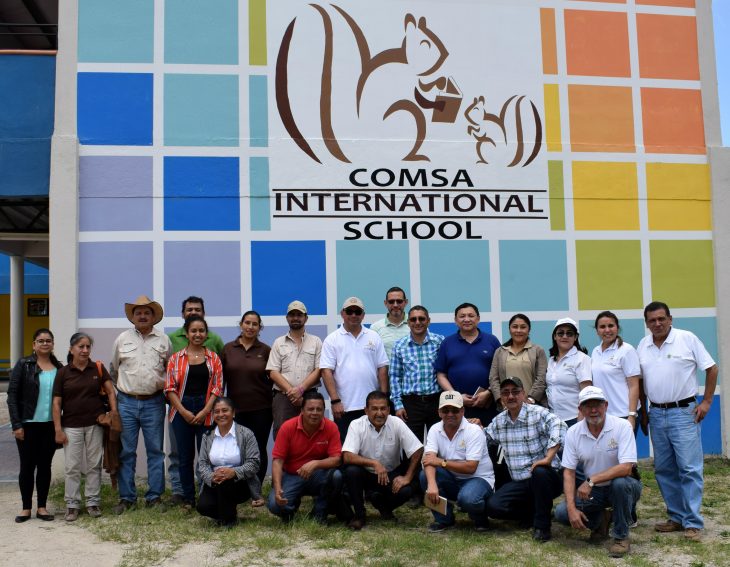 Banco mundial comsa (8)