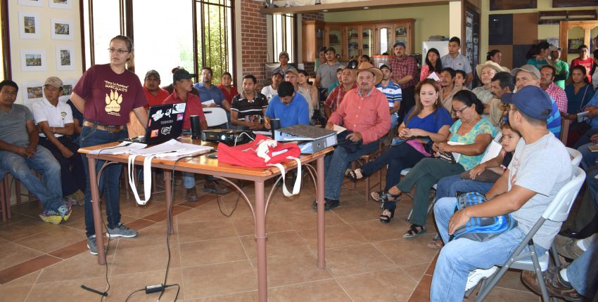 Comecio Justo comsa (2)