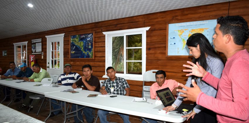 Diplomado21comsa