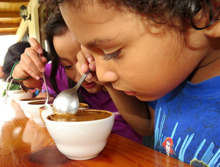 Catacion CIS (2)