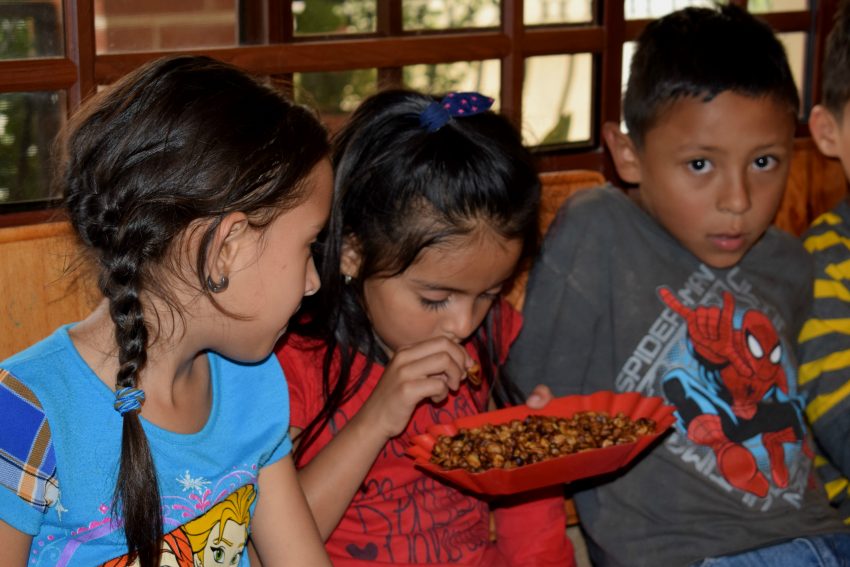 Catacion CIS (5)