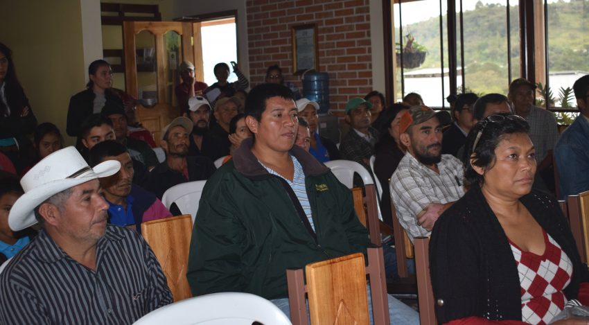 hella de carbono COMSA (2)