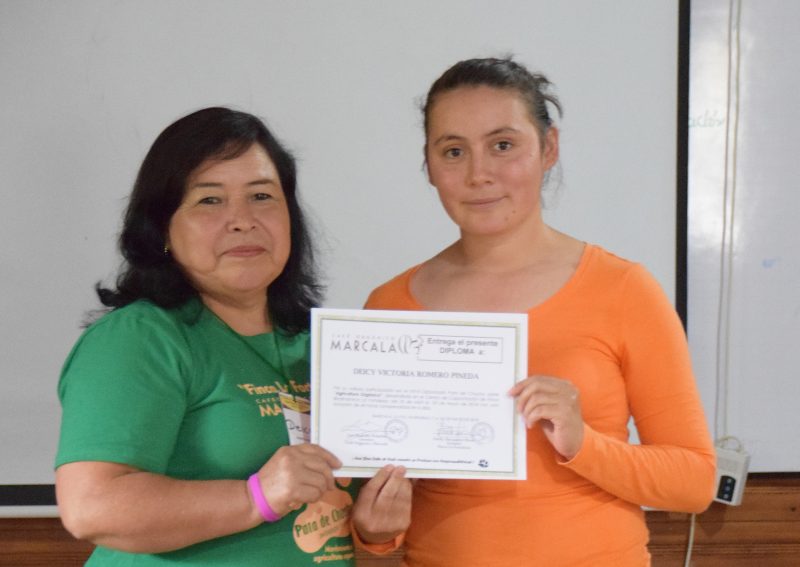 Diplomado 27 COMSA3913