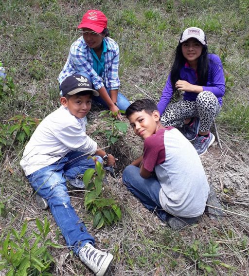 CIS dia del arbol958214_1773117012747462_6759639776367738880_n