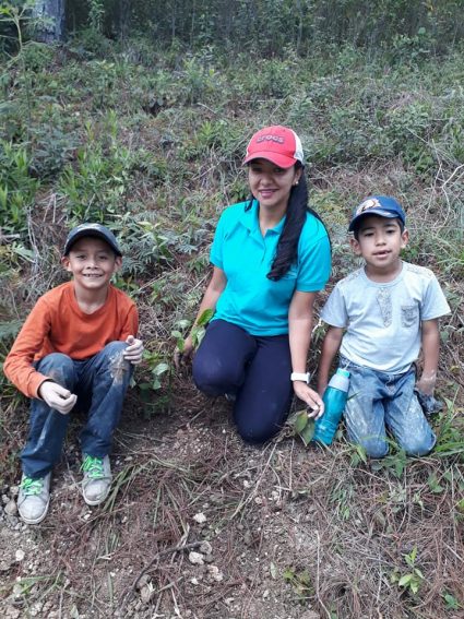 CIS dia del arbol990797_1773117392747424_8440666482551029760_n