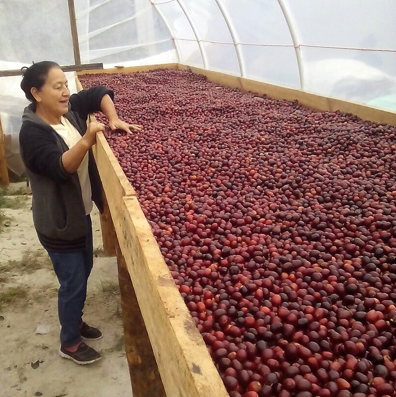 Los socios de COMSA y su compromiso en la producción de cafés especiales