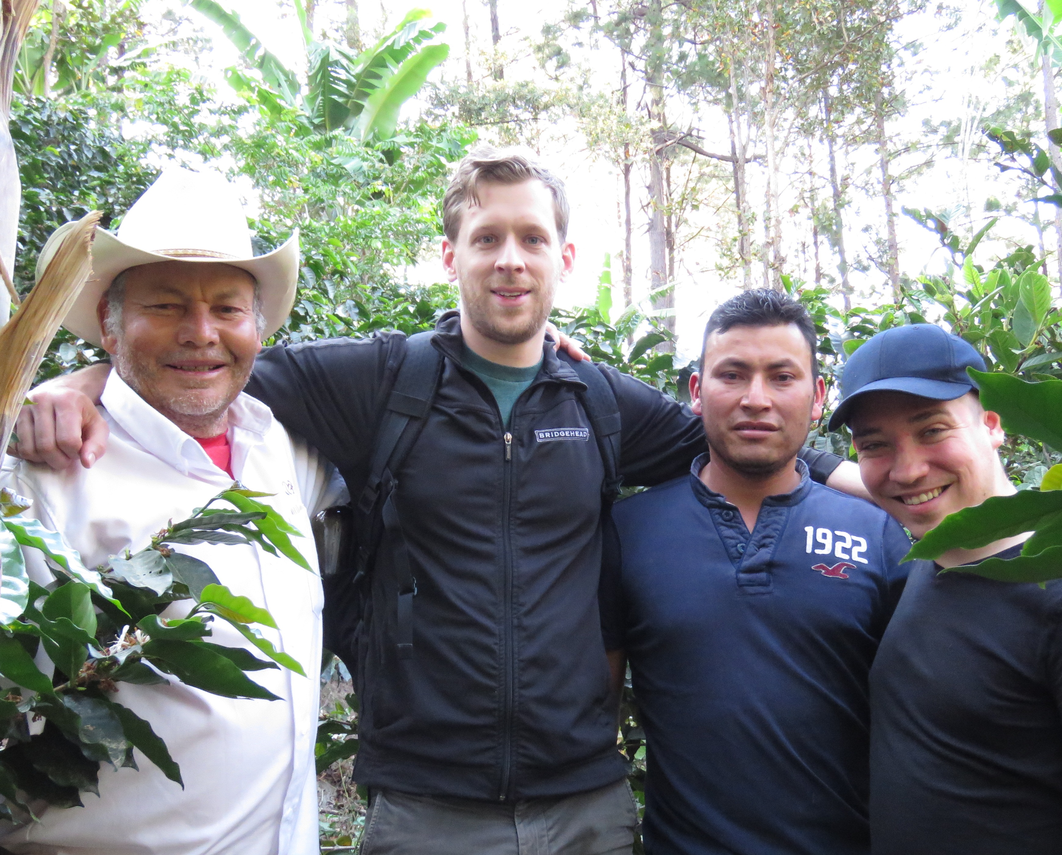 Café de COMSA sigue sorprendiendo a comparadores