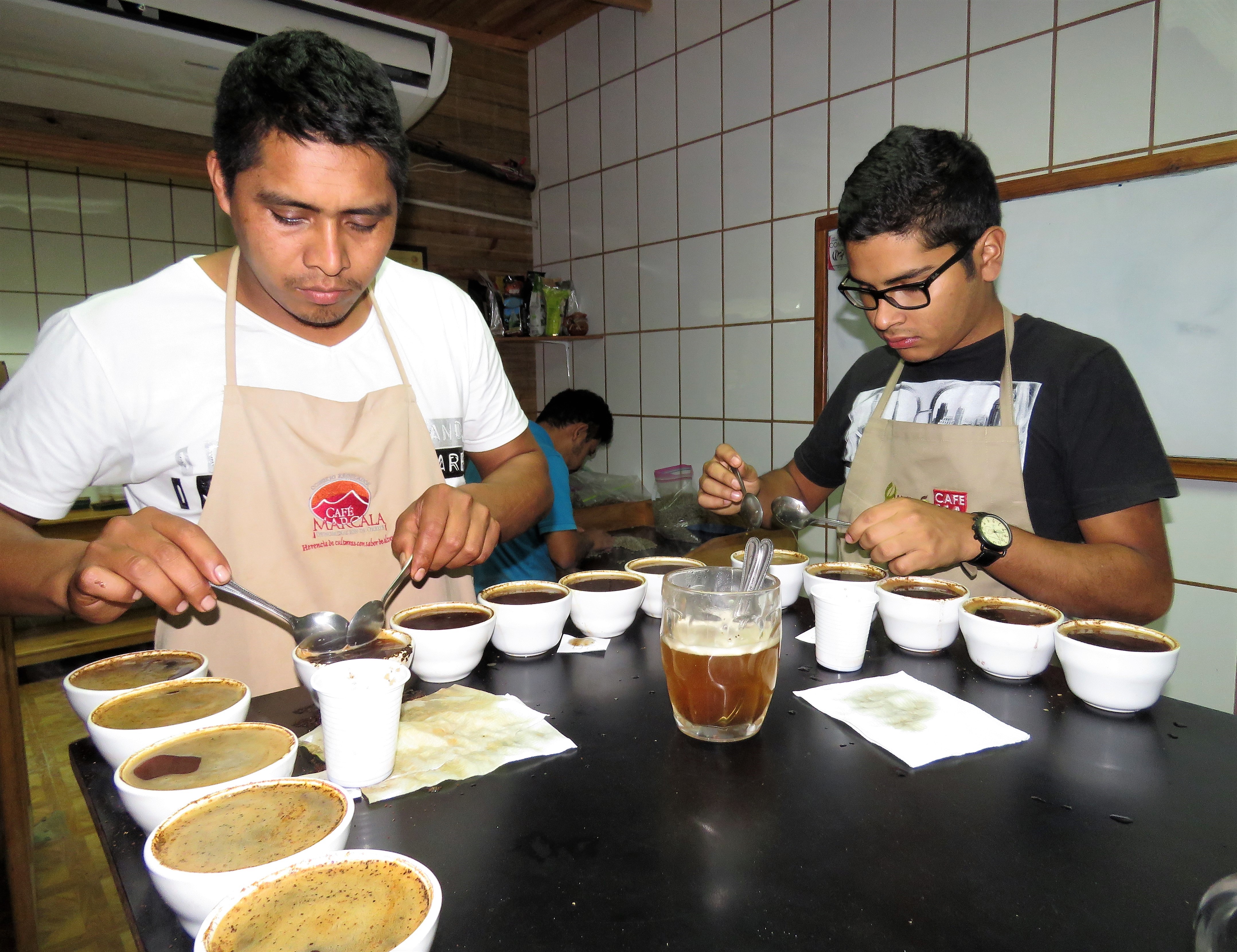 Catadores de COMSA son seleccionados como jurado de la Taza de Excelencia 2017