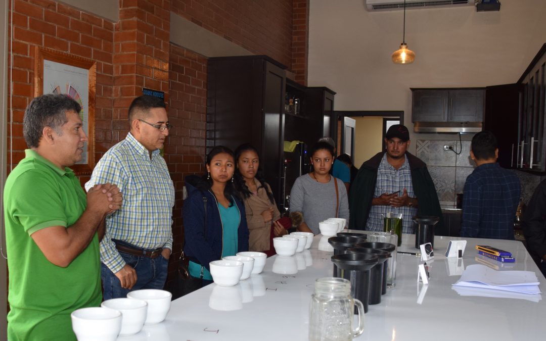Technoserve y COMSA desarrollaran Escuela de Conocimientos Básicos de Café