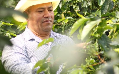 Socio de COMSA participará de subasta de café