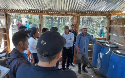 COMSA continua proceso de transferencia de conocimiento