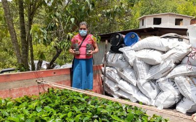 COMSA realiza la entrega de plantas con memoria