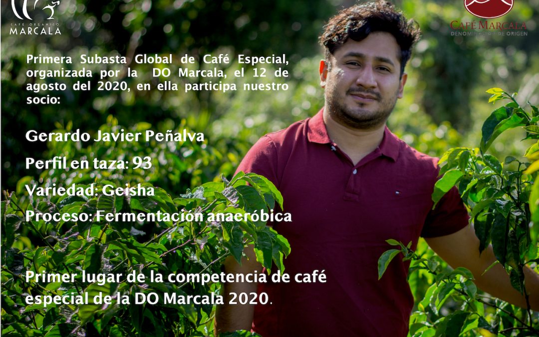 Primera Subasta Global de Cafés Especiales DO Marcala
