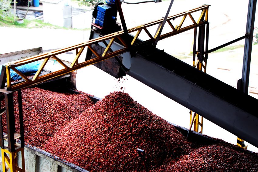 Política Ambiental de Café́ Orgánico Marcala (COMSA)