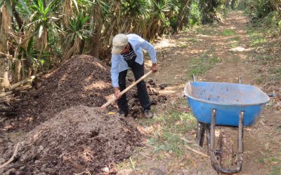 Las Practicas ambientales