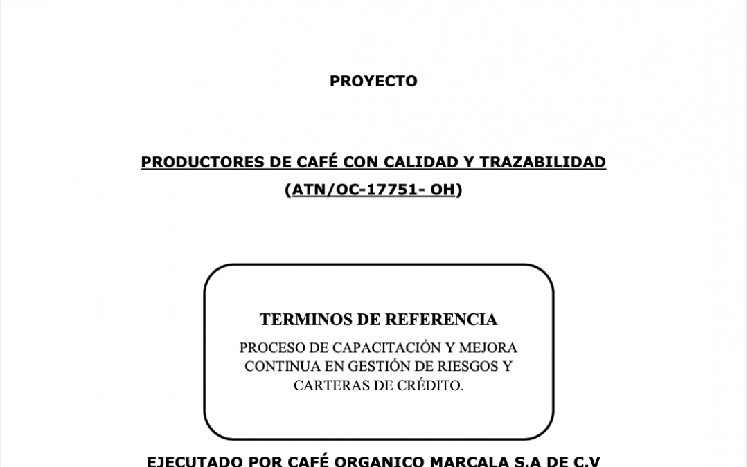 Oportunidad laboral para consultor