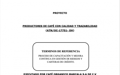 Oportunidad laboral para consultor