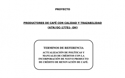 Oportunidad laboral para consultor