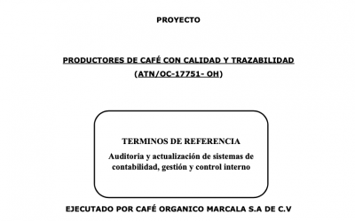 Oportunidad para consultoría: auditoría y actualización de sistemas de contabilidad, gestión y control interno