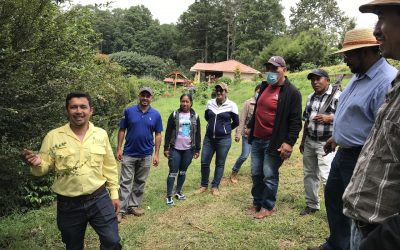 Productores de Café con Calidad y Trazabilidad
