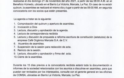 Convocatoria, Asamblea General Extraordinaria