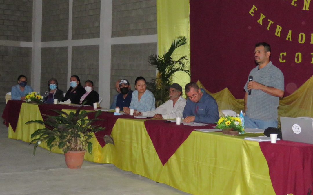 Socios de COMSA aprueban presupuesto de la Prima FLO
