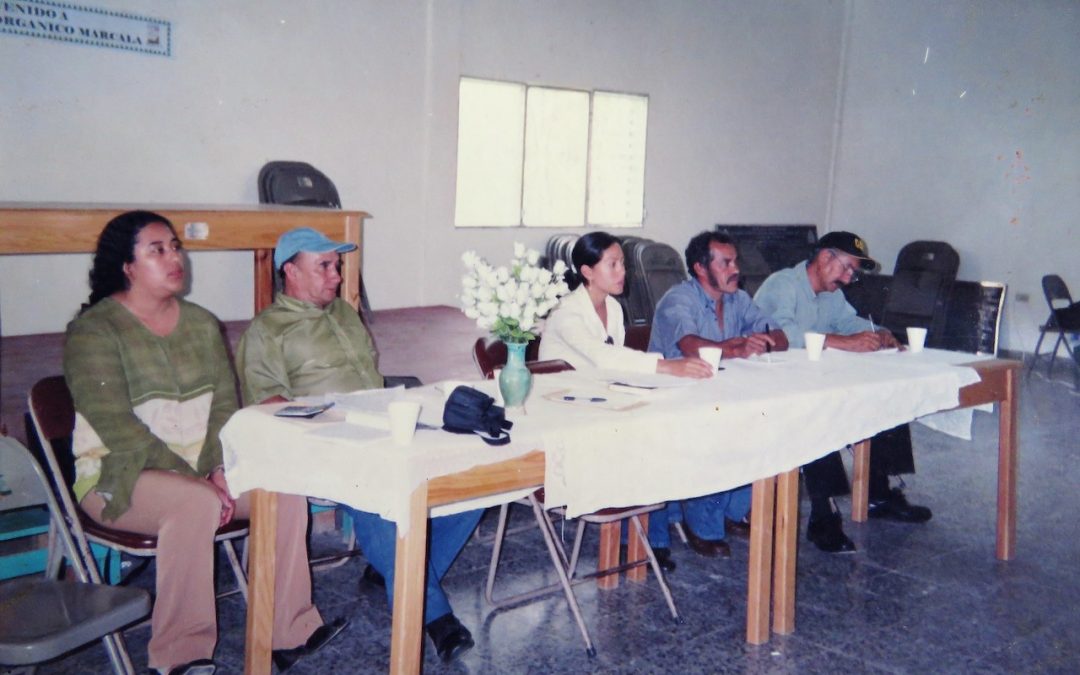 20 años de La Gran Familia COMSA