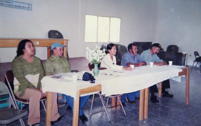 20 años de La Gran Familia COMSA