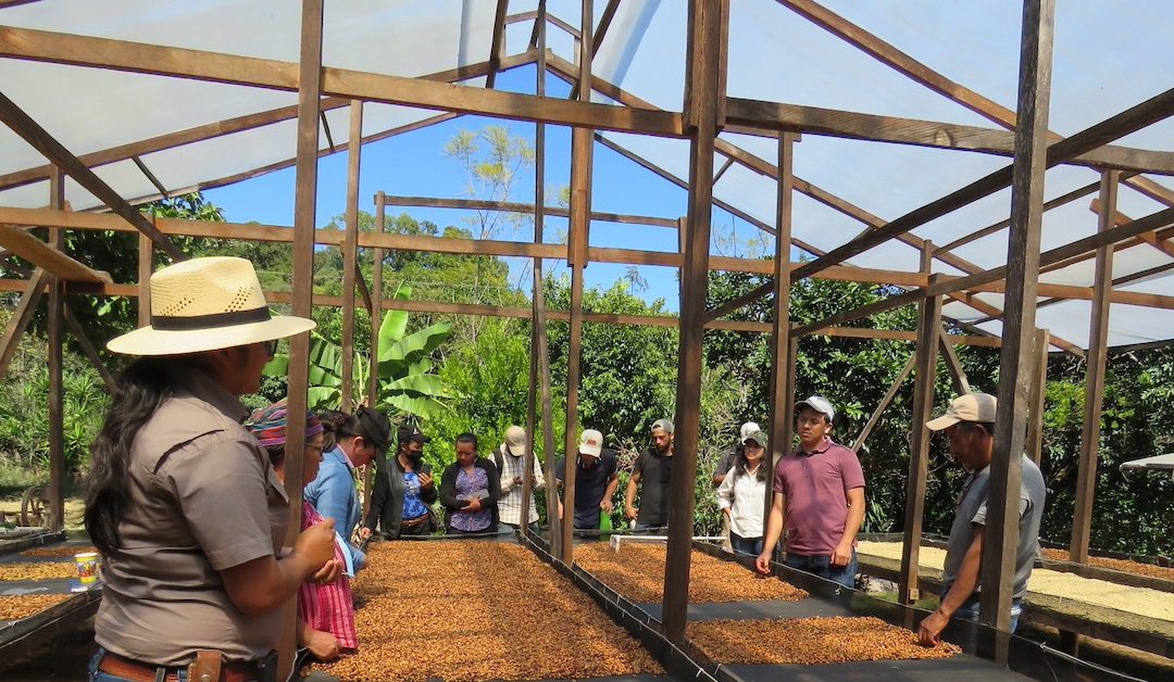 Intercambio de experiencias de socios a través del proyecto BID/COMSA