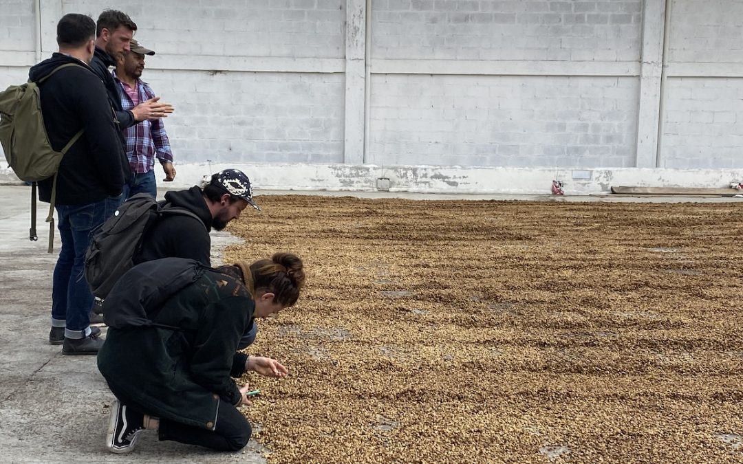Black Hen Coffee  nos visita