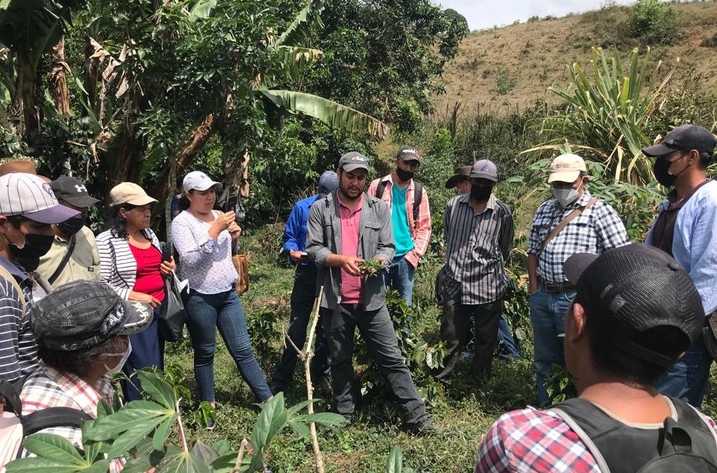 COMSA desarrolla el proyecto huella de carbono, Cool Farm Tool