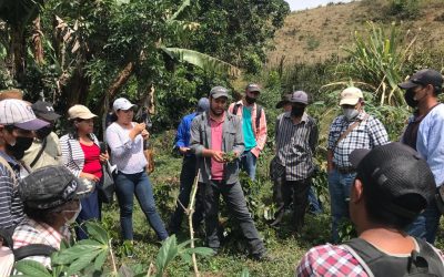 COMSA desarrolla el proyecto huella de carbono, Cool Farm Tool