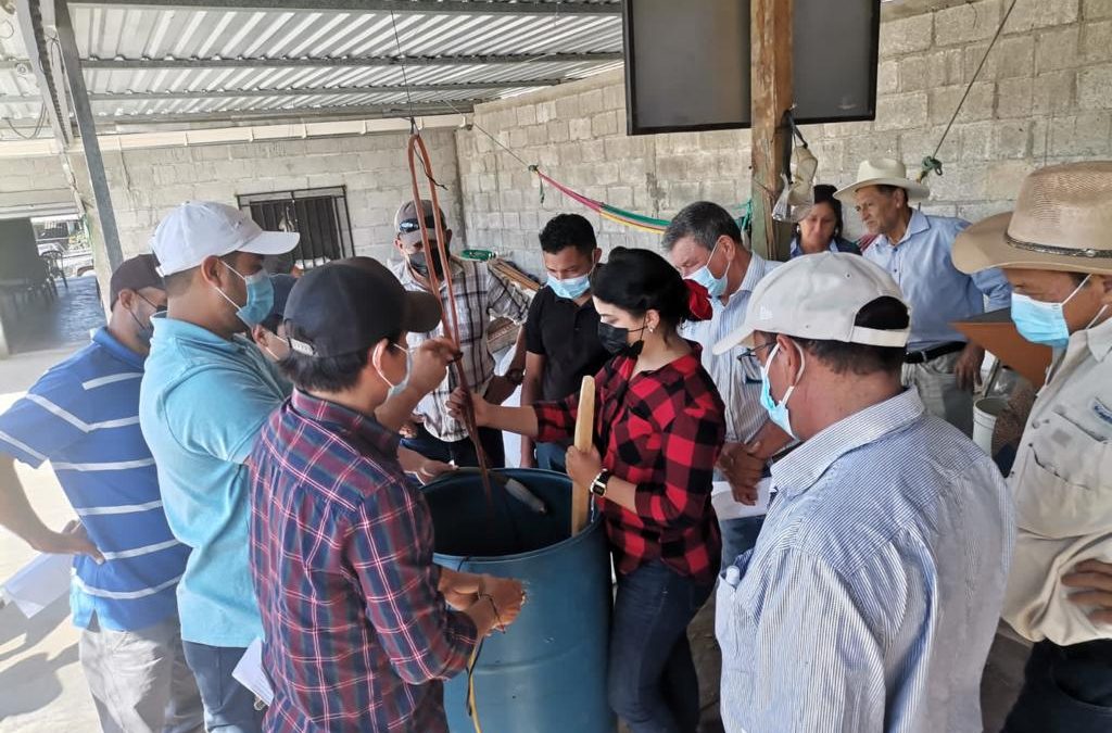 Socios de Santiago Puringla reciben jornada de capacitación