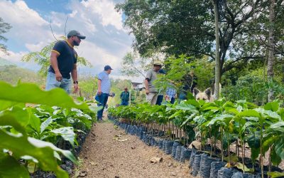 ICF EN CONJUNTO  CON COMSA LLEVARON A CABO UN CONVERSATORIO SOBRE LA IMPORTANCIA DE LA REFORESTACIÓN.